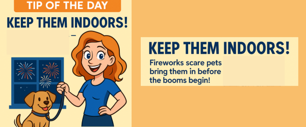 Keep Them Indoors: Protect Your Pets from Firework Frights!